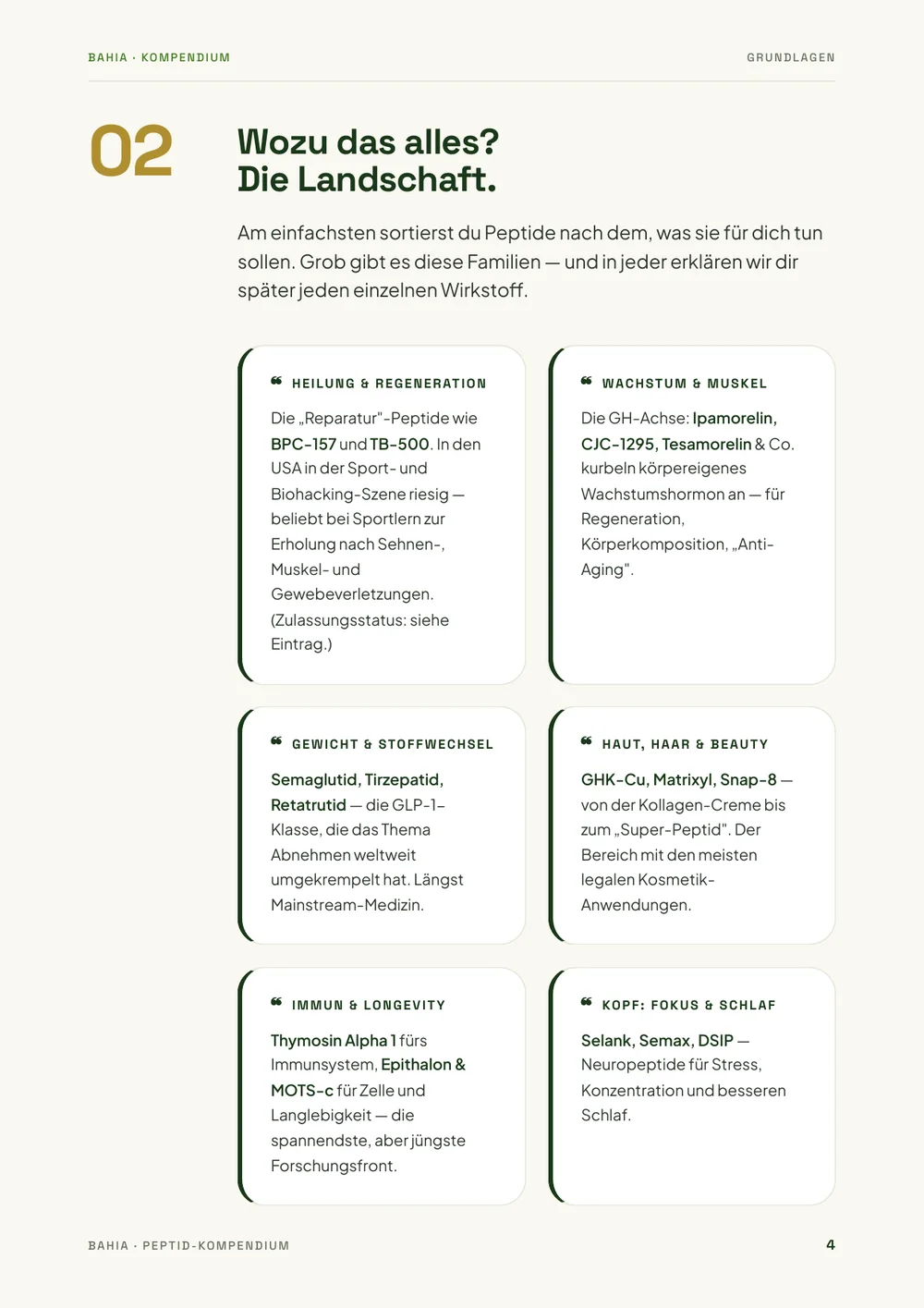 Buchseite 2