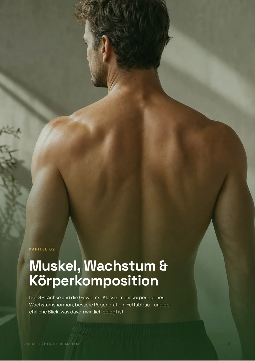 Buchseite 4